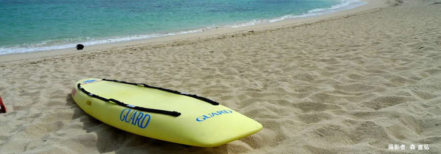 マリンフェスタ加計呂麻